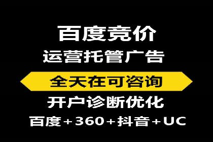 百度SEO推广案例解析与效果评估